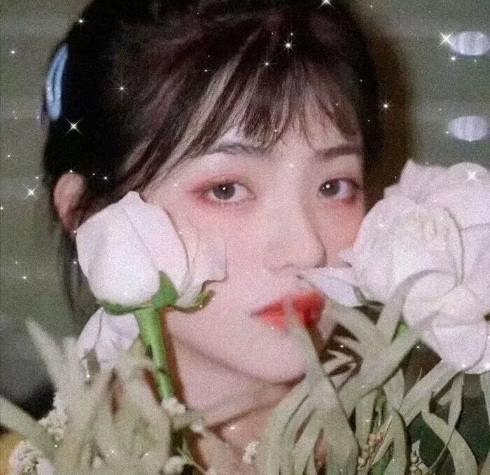 盲盒哥哥